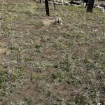 2023OTRA_582 (May 05, 2023)